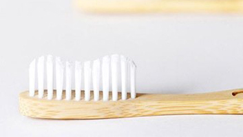 Toothbrush Bristles